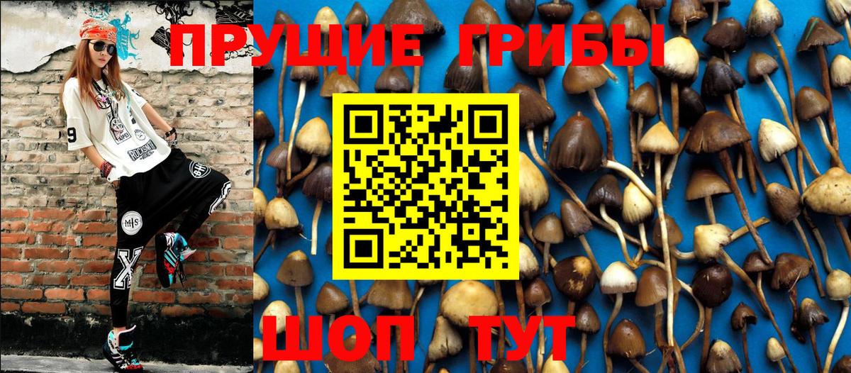 Галлюциногенные грибы прущие грибы  Вход с VPN  Пушкино  Псилоцибиновые грибы Cubensis 