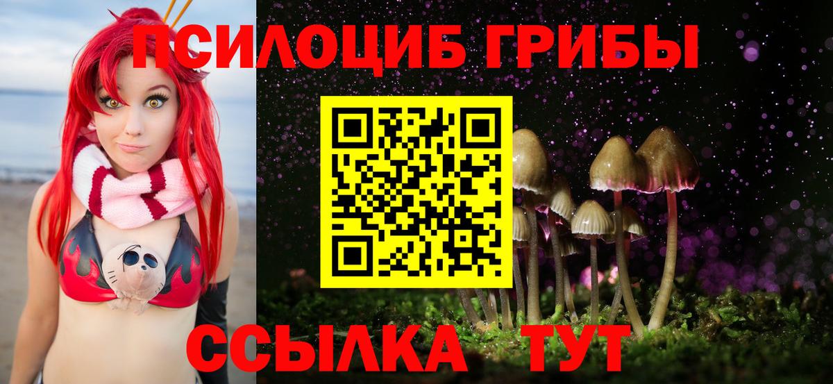 Псилоцибиновые грибы Cubensis Пушкино